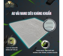 Nệm cao su than hoạt tính Kim Cương 5Zone Biolux