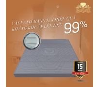 Nệm cao su than hoạt tính Kim Cương 5Zone Biolux