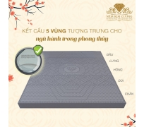 Nệm cao su than hoạt tính Kim Cương 5Zone Biolux