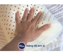 Gối ôm cao su liên á bolster