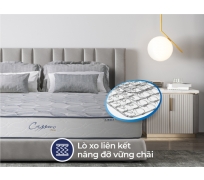 Nệm lò xo liên á CASSARO Firm