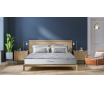 Nệm lò xo liên á CASSARO Firm