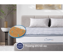 Nệm lò xo liên á CASSARO Plush