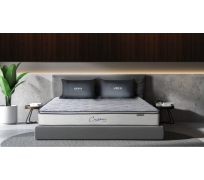 Nệm lò xo liên á CASSARO Plush