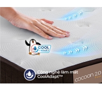 Nệm lò xo liên á COCOON 2.0 Firm ( lò xo túi )