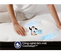 Nệm lò xo liên á COCOON 2.0 Luxe ( lò xo túi )