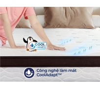 Nệm lò xo liên á COCOON 2.0 Premium ( lò xo túi )