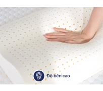 Gối cao su liên á contour