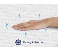 Nệm cao su thiên nhiên Liên Á gấp 3 Foldaway