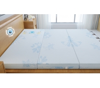 Nệm bông ép Kim Cương Acness