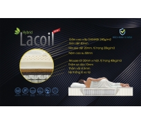 Nệm lò xo túi vạn thành lacoid