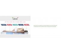 Nệm lò xo túi vạn thành lacoid