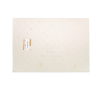 Nệm mousse vạn thành premium 12N