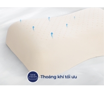 Gối cao su liên á peanut